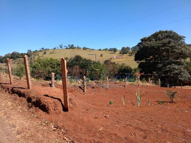 #258 - Área para Venda em Pouso Alegre - MG - 1