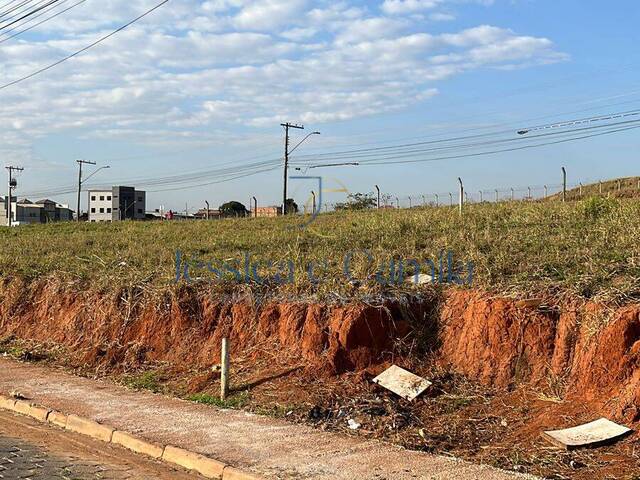 #667 - Área para Venda em Pouso Alegre - MG - 1